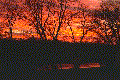 Sunset 11/23/96